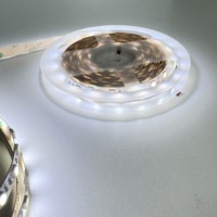 Bande lumineuse LED SMD5050 DC5V en cuivre, blanc chaud, adressable, étanche IP33, éclairage paysager, vente chaude