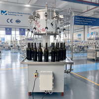 Machine de remplissage de liquides à siphon rotative personnalisée 60Hz 110V 220V à 14 têtes pour bouteilles de vin et spiritueux en verre, prise USA/UE