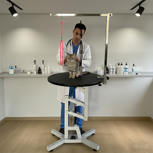 Toptan Fiyat Fabrikadan Doğrudan Pnömatik Kaldırma Özellikli Yeniden Kullanılabilir Çevre Dostu Paslanmaz Çelik Evcil Hayvan Köpek Bakım Masası (Evcil Hayvan Salonu İçin) - Product Image 3