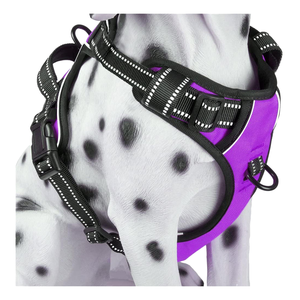 Harnais pour chien en polyester réglable et confortable, design personnalisé d'usine, avec fermeture à boucle, assorti à des colliers rembourrés pour animaux de compagnie pour les fêtes - Product Image 1