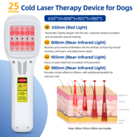 Appareils de thérapie par laser froid avancés 650nm 808nm 905nm pour le traitement des genoux humains, des chevaux, des hommes et des animaux de compagnie