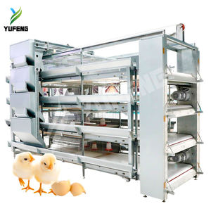 Système de cages à poulets automatiques de type A/H sans personnel, très vendu, pour l'élevage de poulets de chair, en acier Q235, 90-200 - Product Image 2