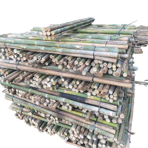 Estacas de jardín de bambú ecológicas para enredaderas trepadoras y uso agrícola hechas de materias primas de alta calidad - Product Image 6