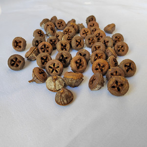 Capsules d'eucalyptus coniques de qualité supérieure pour l'artisanat, idéales pour les créations de Noël, la décoration de maisons féériques et la fabrication de couronnes. - Product Image 3