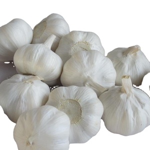 Nueva cosecha <span class=keywords><strong>de</strong></span> <span class=keywords><strong>ajo</strong></span> fresco, <span class=keywords><strong>ajo</strong></span> fresco blanco puro, directo <span class=keywords><strong>de</strong></span> fábrica <span class=keywords><strong>de</strong></span> China, gran oferta, <span class=keywords><strong>semilla</strong></span> <span class=keywords><strong>de</strong></span> <span class=keywords><strong>ajo</strong></span> chino picante a bajo precio - Product Image 2