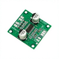 XIXI BMS Tıbbi IoT PCB ve Özelleştirilebilir Bakır/RAM'li Çift Yönlü Amplifikatör Modülü (Tıbbi Uygulamalar için)