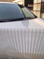 Feuille de Polycarbonate à quatre couches transparente de 8mm décoration murale de toit de gymnastique intérieure/extérieure durable pour hôtels hôpitaux entrepôts bureaux