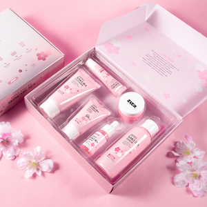 Kit de cuidado facial de marca privada, 6 piezas, set de cuidado facial de día y noche, set de regalo iluminador e hidratante para uso diario - Product Image 4