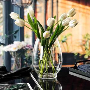 Pianta idroponica ecologica bottiglia di vetro vaso decorazione micro paesaggio drago uovo acquario ufficio soggiorno ornamenti - Product Image 5