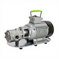 110V 220V monophasé petite pompe en acier inoxydable WCB électrique Portable Mini pompe de transfert de mazout à engrenages