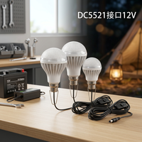 Ampoule LED DC12V pour usage extérieur avec câble de 2,8 m, prise DC5521, interrupteur marche/arrêt, crochet métallique pour un accrochage facile, CRI 80, 6500K