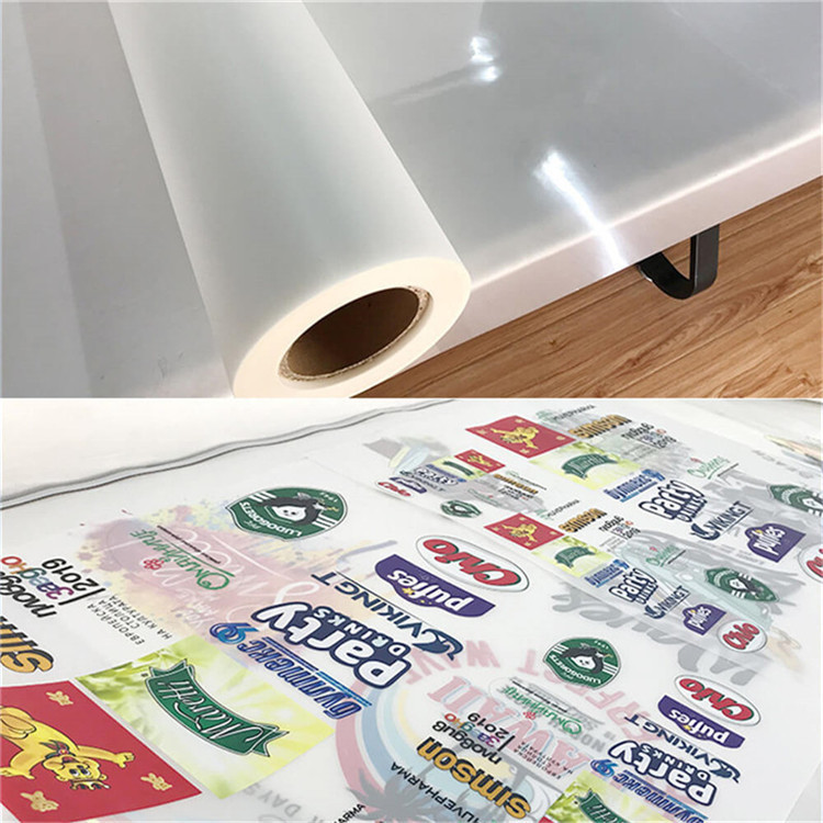 L1800 Printer 30cm 60cm A3 A4 DTG Heat Transfer double site coated hot peel PET DTF film FOR DTF PRINT