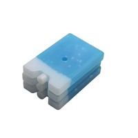15x10x2cm, 200g, petit refroidisseur de déjeuner réutilisable, brique de glace, boîte à glace pour enfants