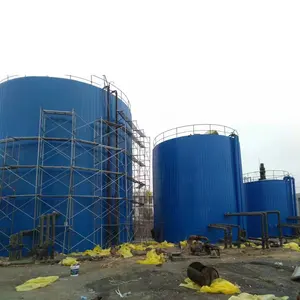 Maat Grote Anaërobe Biogasinstallatie Bio Gas Making Machine Voor Dierlijke Mest Of Gemeentelijke Riolering