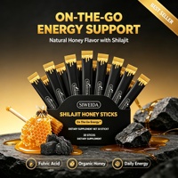 Bâtonnets Miel Shilajit Himalaya Résine Shilajit Miel Biologique Acide Fulvique Safran Énergie Immunité Complément 30 Bâtonnets