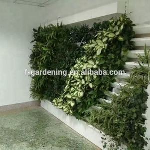 Siphem Smart Garden, Sistema de Pared Verde Artificial Hidropónico, Pared Ecológica Inteligente para Plantas Reales - Product Image 3