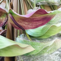 G-86-3 Hoogwaardig, zacht aanvoelend, hydraterend Anthurium zacht rubberen bloemstuk in Morandi-stijl