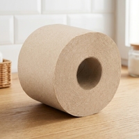 Papier toilette en bambou biodégradable, hypoallergénique, doux, résistant, absorbant, écologique, avec logo personnalisé OEM ODM pour la maison