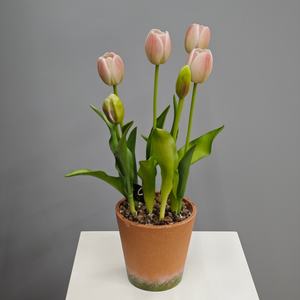 Fleur de tulipe artificielle de style coréen, pot en plastique, décoration extérieure et intérieure, accessoire de photographie, best-seller - Product Image 2