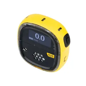 Hot sale portable handheld Honeywell BW gas Alarm BW Solo portable 0-200ppm H2S NH3 CO O3 single-gas detector