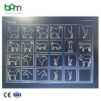 Alat USG Hewan Portabel Warna Doppler 3D/4D Instrumen Medis Layar 12 Inci Arsitektur Chip ARM Bersertifikasi CE untuk