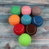 Logo cetak khusus bola tenis hewan peliharaan karet latihan melempar latihan pantai pribadi profesional bermerek Logo