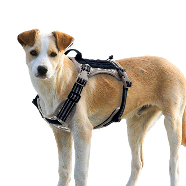 Adjustable Tactical Dog Harness for Training and Walking Personalized Pet Harness with Protection Features