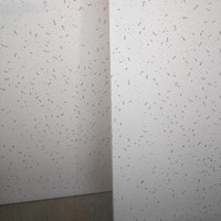 Plafond suspendu en fibre minérale acoustique WLX 2x4, design de panneaux de plafond suspendu, dalles de plafond noires pour hôpital