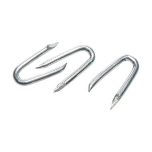 Mạ kẽm hàng rào <span class=keywords><strong>U</strong></span> loại móng tay <span class=keywords><strong>1</strong></span> "<span class=keywords><strong>1</strong></span> <span class=keywords><strong>1</strong></span>/<span class=keywords><strong>4</strong></span>" cho trang trại hàng rào thép gai <span class=keywords><strong>U</strong></span> hình <span class=keywords><strong>STAPLE</strong></span> - Product Image 6