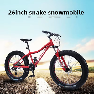 Fabricants de fourches en acier de 24 et 26 pouces, vente en gros, vélo de montagne et de plage à gros pneus larges de 4,0 pouces avec <span class=keywords><strong>roue</strong></span> creuse - Product Image 2