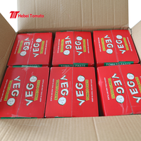 Pâte de tomate double concentrée 70g d'usine avec concentré 28-30% dans une sauce tomate à poche autoportante