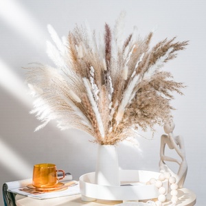 Vente en gros de <span class=keywords><strong>fleurs</strong></span> décoratives fraîches de haute qualité <span class=keywords><strong>Bouquet</strong></span> de <span class=keywords><strong>fleurs</strong></span> séchées artificielles <span class=keywords><strong>Bouquet</strong></span> de vraies <span class=keywords><strong>fleurs</strong></span> naturelles <span class=keywords><strong>sèches</strong></span> pour la fête des mères - Product Image 5