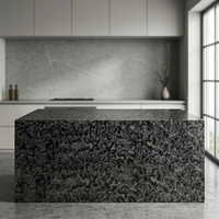 Grande dalle de marbre noir diamanté platine, pierre naturelle moderne de luxe, imperméable, pour usage hôtelier