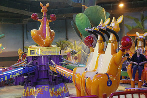 Jeux de parc d'attractions <span class=keywords><strong>les</strong></span> <span class=keywords><strong>plus</strong></span> intéressants à vendre Équipement professionnel de kangourou sautant en plein air - Product Image 6
