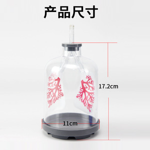 Modèle d'hernie pulmonaire, équipement expérimental avec fonction de simulation de fumée et simulateur de mouvement du diaphragme (collège) - Product Image 2