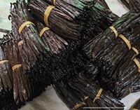 Vanille Harvest, gousses de vanille séchées au soleil, 1 kg/2 kg, emballage personnalisé, logo graphique, service OEM, vente en gros, pure vanille bourbon de Madagascar
