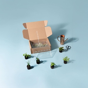 Grande serre de jardin hydroponique originale avec cadre en plastique Boîte de culture anti-pourriture pour salle de culture intérieure - Product Image 6
