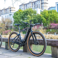 Vélo de gravier électrique en fibre de carbone, moteur central Bafang M820 250W, batterie 15Ah, frein à disque hydraulique 12 vitesses, 700C *45C