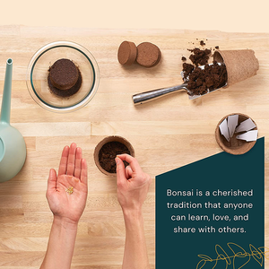 Cadeaux <span class=keywords><strong>de</strong></span> noël pour l'extérieur et l'<span class=keywords><strong>intérieur</strong></span>, 4 Types <span class=keywords><strong>de</strong></span> pousses <span class=keywords><strong>de</strong></span> germination, Kit <span class=keywords><strong>de</strong></span> jardin <span class=keywords><strong>de</strong></span> bonsaï naturel avec outils - Product Image 2