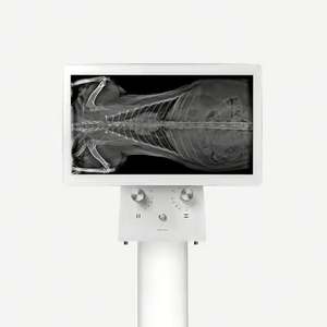 Máquina DE RAYOS X veterinaria móvil Hospital de mascotas Radiografía DE RAYOS X 32kw DR Equipo de radiología digital - Product Image 4