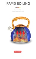 Grands théières en acier inoxydable de grande qualité, multicolores, logo personnalisé en gros, 2,0 L/2,5 L/3 L, écologiques, compatibles avec l'induction au gaz
