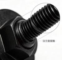 Boulons à bride hexagonale en acier inoxydable DIN 6291, oxyde noir, classes 8.8 et 10.9, M5 M6 M8 M10 M12 M13 M14 M19 M22, avec dent antidérapante