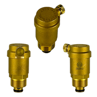 Système de valve d'évacuation d'air de type économique pour gain de place, avec corps en laiton et adaptateur de tuyau