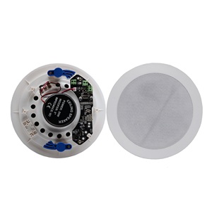 Altavoz de Techo Inalámbrico 2026 Factory 2025 Factory para Sistema de Megafonía, Configuración de 1 Maestro y 3 Pasivos - Product Image 1