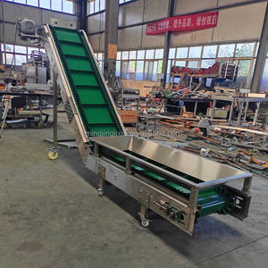 Nastro Trasportatore Inclinato in Acciaio Inox di Alta Qualità per Carico e Scarico di Frutta e Verdura - Product Image 5