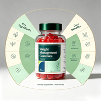 Gummies SYC BIO sans sucre pour la gestion du poids, 60 unités, avec mélatonine et L-théanine, soutien du sommeil, complément quotidien naturel