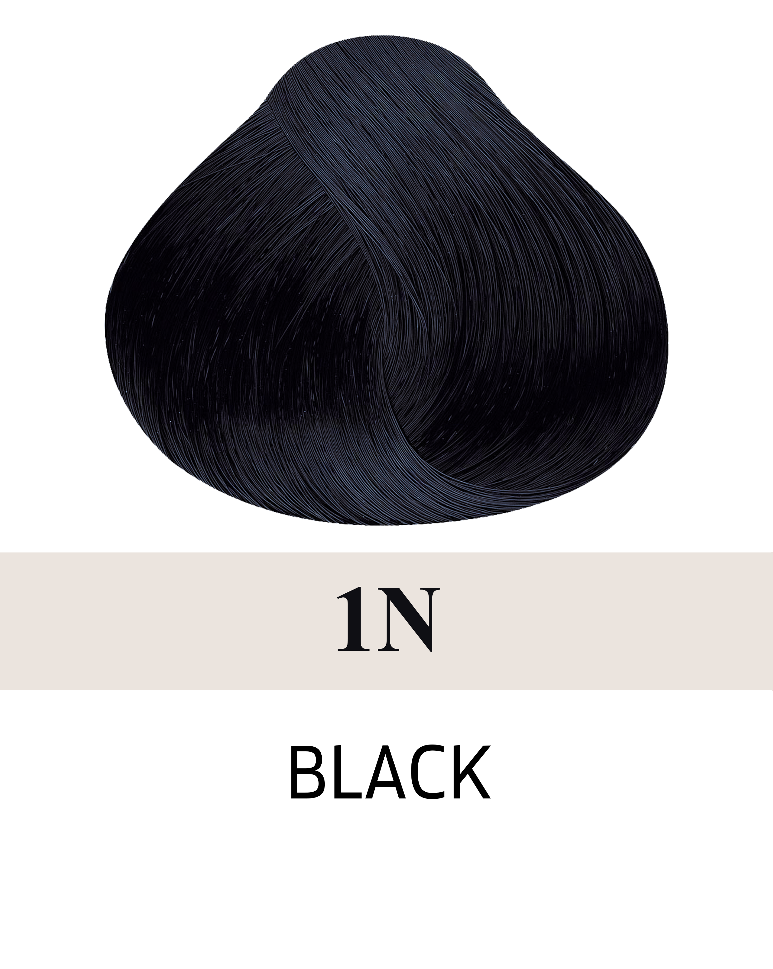 1N Black