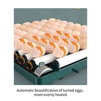 Weiwei petit incubateur d'œufs domestiques, incubateur automatique intelligent de petits œufs d'oiseaux, incubateur de cailles