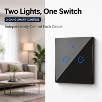 Kedatangan Baru Saklar WiFi Pintar EU 2 Gang Tuya Smart Life Saklar Lampu Sentuh 10A untuk Penggunaan Otomasi Rumah Online