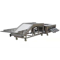 Rollersorteertafel Voor Tomatenaardappel En Kersen Sorteren Roterende Appeltransportsysteem Afscherming Bosbessentransportband
